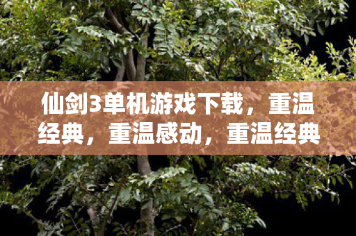 仙剑3单机游戏下载,重温经典,重温感动,重温经典感动,仙剑3单机游戏下载 仙剑3单机游戏下载,重温经典,重温感动,重温经典感动,仙剑3单机游戏下载