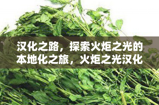 汉化之路，探索火炬之光的本地化之旅，火炬之光汉化之路，探索游戏本地化的精彩之旅
