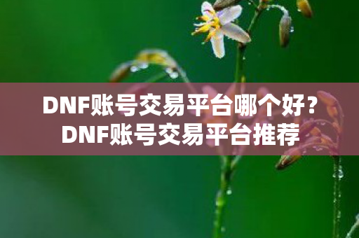 DNF账号交易平台哪个好？DNF账号交易平台推荐