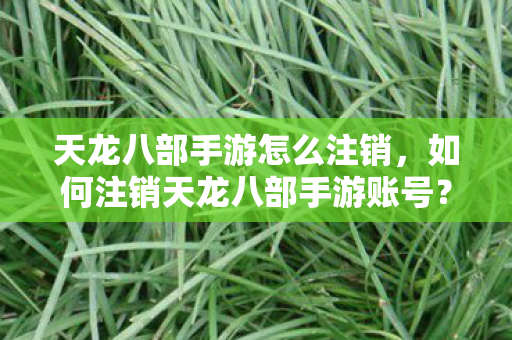 天龙八部手游怎么注销,如何注销天龙八部手游账号? 天龙八部手游怎么注销,如何注销天龙八部手游账号?