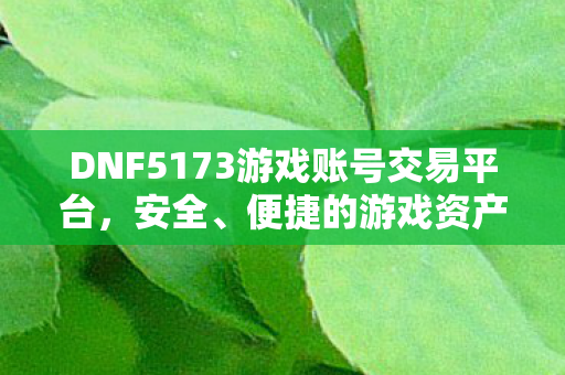DNF5173游戏账号交易平台,安全、便捷的游戏资产交易新选择,DNF5173,游戏账号交易新选择,安全便捷保障您的游戏资产 DNF5173游戏账号交易平台,安全、便捷的游戏资产交易新选择,DNF5173,游戏账号交易新选择,安全便捷保障您的游戏资产