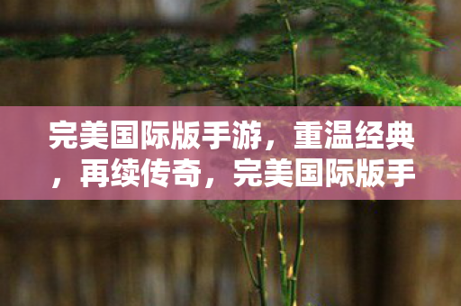 完美国际版手游,重温经典,再续传奇,完美国际版手游,重温经典,再续传奇 完美国际版手游,重温经典,再续传奇,完美国际版手游,重温经典,再续传奇