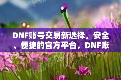 DNF账号交易新选择，安全、便捷的官方平台，DNF账号官方交易平台，安全便捷的新选择