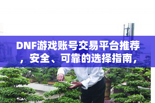 DNF游戏账号交易平台推荐，安全、可靠的选择指南，DNF账号交易安全指南，如何选择可靠的平台？