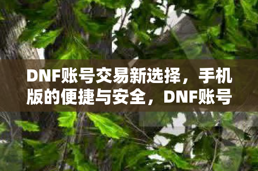 DNF账号交易新选择,手机版的便捷与安全,DNF账号交易新选择,手机版的便捷与安全 DNF账号交易新选择,手机版的便捷与安全,DNF账号交易新选择,手机版的便捷与安全