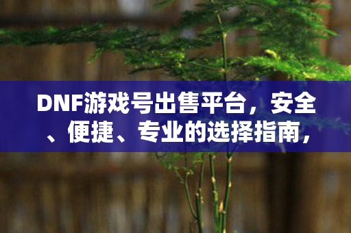 DNF游戏号出售平台,安全、便捷、专业的选择指南,DNF游戏账号安全交易,选择专业平台的指南 DNF游戏号出售平台,安全、便捷、专业的选择指南,DNF游戏账号安全交易,选择专业平台的指南
