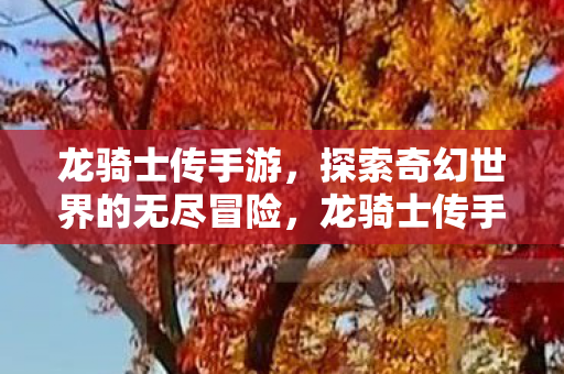 龙骑士传手游,探索奇幻世界的无尽冒险,龙骑士传手游,探索奇幻世界的无尽冒险之旅 龙骑士传手游,探索奇幻世界的无尽冒险,龙骑士传手游,探索奇幻世界的无尽冒险之旅