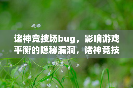 诸神竞技场bug,影响游戏平衡的隐秘漏洞,诸神竞技场漏洞曝光,隐秘游戏平衡漏洞引发关注 诸神竞技场bug,影响游戏平衡的隐秘漏洞,诸神竞技场漏洞曝光,隐秘游戏平衡漏洞引发关注