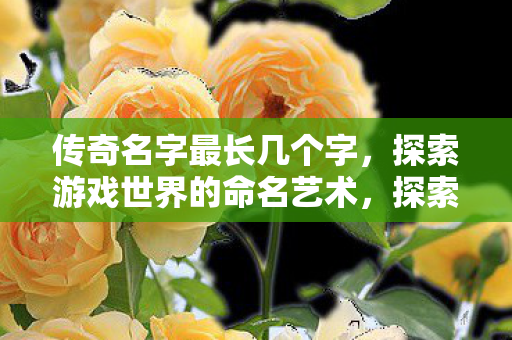 传奇名字最长几个字,探索游戏世界的命名艺术,探索游戏世界命名艺术,传奇名字最长几个字? 传奇名字最长几个字,探索游戏世界的命名艺术,探索游戏世界命名艺术,传奇名字最长几个字?