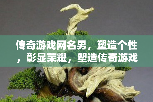 传奇游戏网名男,塑造个性,彰显荣耀,塑造传奇游戏网名,彰显男性荣耀与个性 传奇游戏网名男,塑造个性,彰显荣耀,塑造传奇游戏网名,彰显男性荣耀与个性