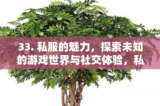 33. 私服的魅力,探索未知的游戏世界与社交体验,私服,探索未知游戏世界,尽享社交新体验 33. 私服的魅力,探索未知的游戏世界与社交体验,私服,探索未知游戏世界,尽享社交新体验
