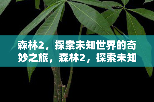 森林2，探索未知世界的奇妙之旅，森林2，探索未知世界的奇妙之旅