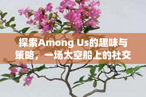 探索Among Us的趣味与策略,一场太空船上的社交推理盛宴,Among Us,太空船上的社交推理盛宴 探索Among Us的趣味与策略,一场太空船上的社交推理盛宴,Among Us,太空船上的社交推理盛宴