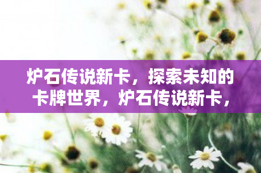 炉石传说新卡，探索未知的卡牌世界，炉石传说新卡，探索未知卡牌世界的奇妙之旅