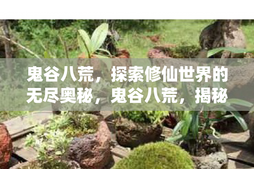 鬼谷八荒，探索修仙世界的无尽奥秘，鬼谷八荒，揭秘修仙世界的无尽奥秘
