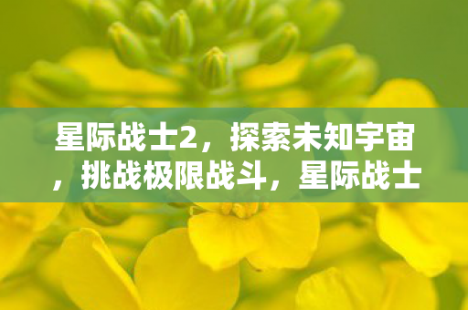 星际战士2，探索未知宇宙，挑战极限战斗，星际战士2，挑战极限战斗，探索未知宇宙