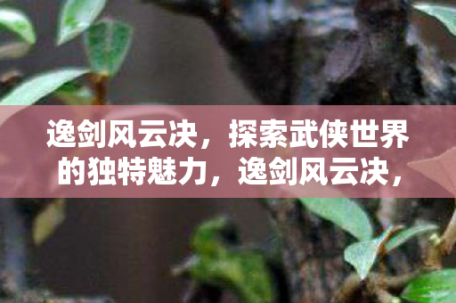 逸剑风云决,探索武侠世界的独特魅力,逸剑风云决,探索武侠世界的独特魅力 逸剑风云决,探索武侠世界的独特魅力,逸剑风云决,探索武侠世界的独特魅力