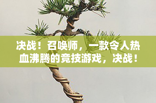 决战!召唤师,一款令人热血沸腾的竞技游戏,决战!召唤师,热血竞技,燃爆你的指尖! 决战!召唤师,一款令人热血沸腾的竞技游戏,决战!召唤师,热血竞技,燃爆你的指尖!