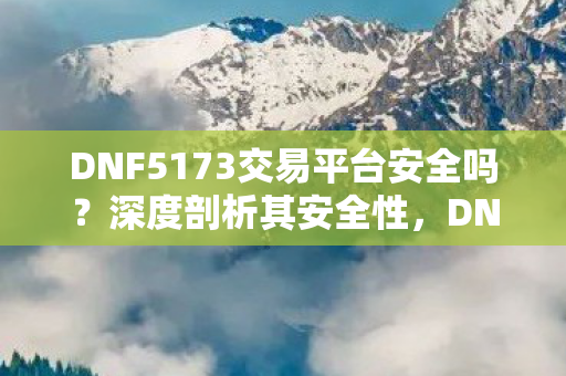 DNF5173交易平台安全吗？深度剖析其安全性，DNF5173交易平台安全性深度剖析