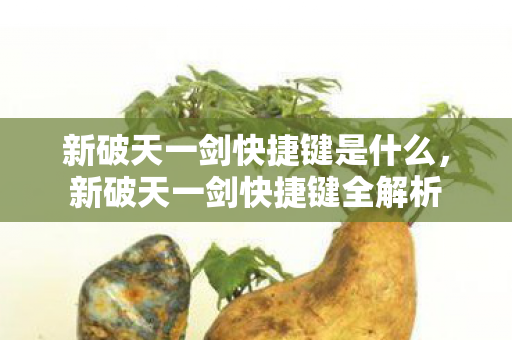 新破天一剑快捷键是什么,新破天一剑快捷键全解析 新破天一剑快捷键是什么,新破天一剑快捷键全解析