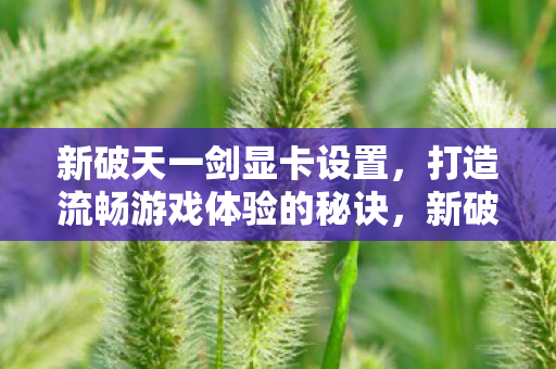 新破天一剑显卡设置,打造流畅游戏体验的秘诀,新破天一剑显卡设置,打造流畅游戏体验的秘诀 新破天一剑显卡设置,打造流畅游戏体验的秘诀,新破天一剑显卡设置,打造流畅游戏体验的秘诀