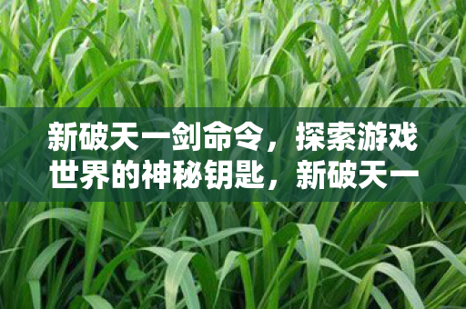 新破天一剑命令,探索游戏世界的神秘钥匙,新破天一剑命令,解锁游戏世界的神秘大门 新破天一剑命令,探索游戏世界的神秘钥匙,新破天一剑命令,解锁游戏世界的神秘大门