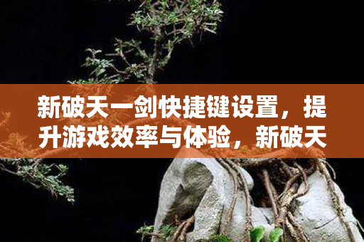 新破天一剑快捷键设置，提升游戏效率与体验，新破天一剑，优化快捷键设置，提升游戏效率与体验