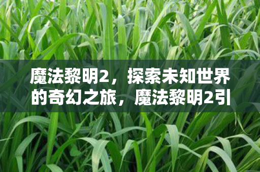 魔法黎明2,探索未知世界的奇幻之旅,魔法黎明2引领奇幻探索之旅,揭开未知世界的神秘面纱 魔法黎明2,探索未知世界的奇幻之旅,魔法黎明2引领奇幻探索之旅,揭开未知世界的神秘面纱