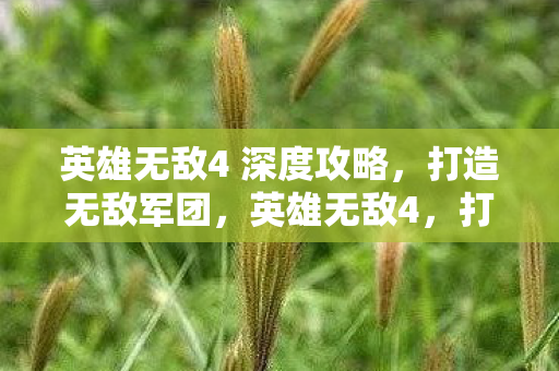英雄无敌4 深度攻略,打造无敌军团,英雄无敌4,打造无敌军团深度攻略 英雄无敌4 深度攻略,打造无敌军团,英雄无敌4,打造无敌军团深度攻略