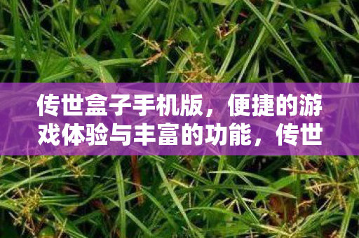 传世盒子手机版,便捷的游戏体验与丰富的功能,传世盒子手机版,便捷游戏与丰富功能体验 传世盒子手机版,便捷的游戏体验与丰富的功能,传世盒子手机版,便捷游戏与丰富功能体验