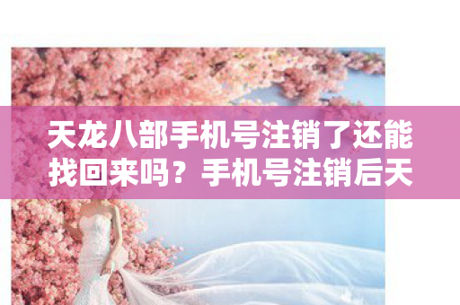 天龙八部手机号注销了还能找回来吗?手机号注销后天龙八部账号能否找回? 天龙八部手机号注销了还能找回来吗?手机号注销后天龙八部账号能否找回?