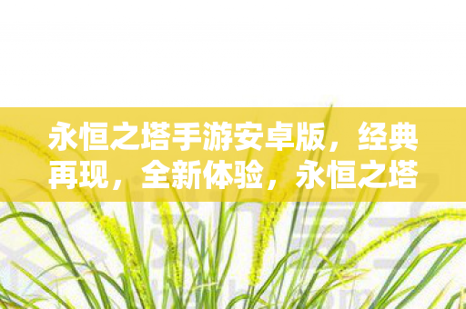永恒之塔手游安卓版,经典再现,全新体验,永恒之塔手游安卓版,经典再现,全新体验 永恒之塔手游安卓版,经典再现,全新体验,永恒之塔手游安卓版,经典再现,全新体验
