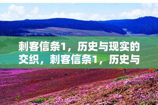 刺客信条1,历史与现实的交织,刺客信条1,历史与现实的交织之旅 刺客信条1,历史与现实的交织,刺客信条1,历史与现实的交织之旅