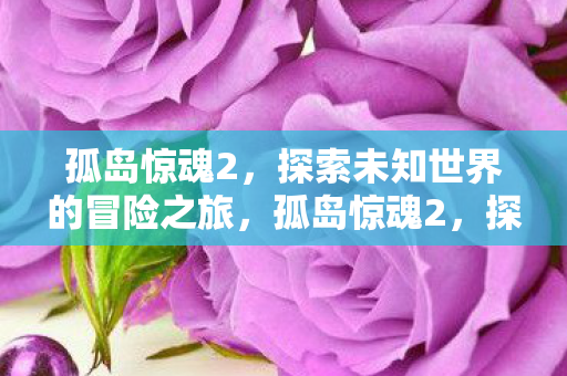 孤岛惊魂2,探索未知世界的冒险之旅,孤岛惊魂2,探索未知世界的惊险冒险之旅 孤岛惊魂2,探索未知世界的冒险之旅,孤岛惊魂2,探索未知世界的惊险冒险之旅