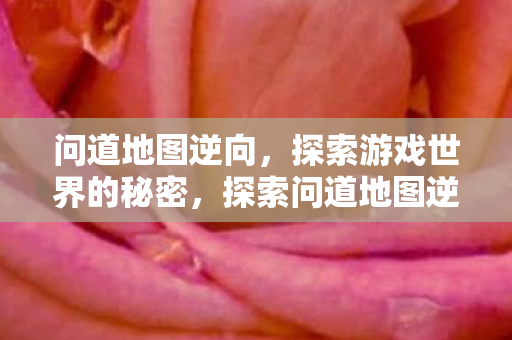 问道地图逆向,探索游戏世界的秘密,探索问道地图逆向,揭秘游戏世界的秘密 问道地图逆向,探索游戏世界的秘密,探索问道地图逆向,揭秘游戏世界的秘密