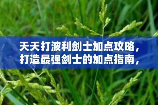 天天打波利剑士加点攻略图片