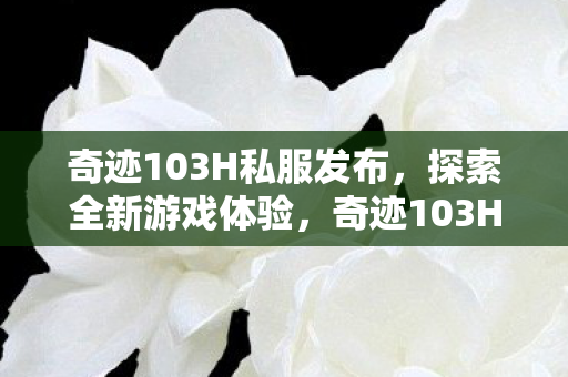 奇迹103H私服发布,探索全新游戏体验,奇迹103H私服发布,开启全新游戏体验之旅 奇迹103H私服发布,探索全新游戏体验,奇迹103H私服发布,开启全新游戏体验之旅