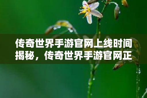 传奇世界手游官网上线时间揭秘,传奇世界手游官网正式上线时间揭晓 传奇世界手游官网上线时间揭秘,传奇世界手游官网正式上线时间揭晓