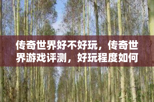 传奇世界好不好玩,传奇世界游戏评测,好玩程度如何? 传奇世界好不好玩,传奇世界游戏评测,好玩程度如何?