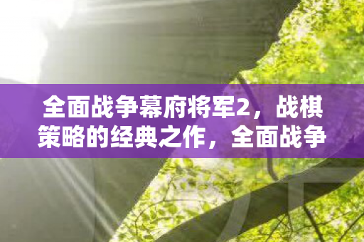 全面战争幕府将军2，战棋策略的经典之作，全面战争，幕府将军2——战棋策略的经典之作