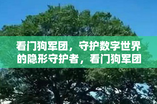 看门狗军团，守护数字世界的隐形守护者，看门狗军团，数字世界的隐形守护者
