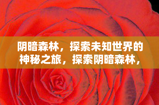 阴暗森林,探索未知世界的神秘之旅,探索阴暗森林,揭开未知世界的神秘面纱 阴暗森林,探索未知世界的神秘之旅,探索阴暗森林,揭开未知世界的神秘面纱