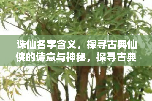 诛仙名字含义,探寻古典仙侠的诗意与神秘,探寻古典仙侠诗意与神秘,解读诛仙名字含义 诛仙名字含义,探寻古典仙侠的诗意与神秘,探寻古典仙侠诗意与神秘,解读诛仙名字含义