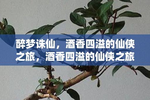 醉梦诛仙，酒香四溢的仙侠之旅，酒香四溢的仙侠之旅，醉梦诛仙