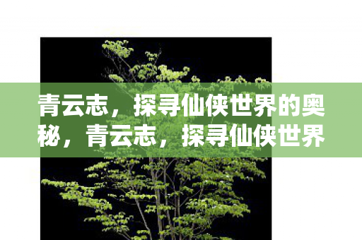 青云志,探寻仙侠世界的奥秘,青云志,探寻仙侠世界的奥秘 青云志,探寻仙侠世界的奥秘,青云志,探寻仙侠世界的奥秘