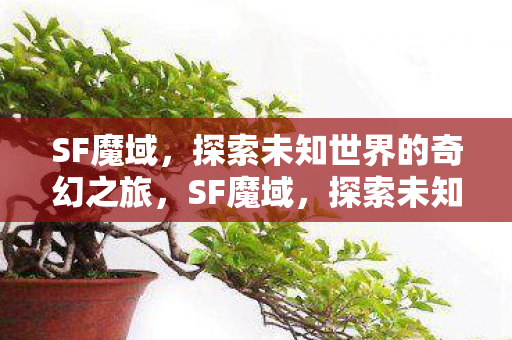 探索未知世界的奇幻冒险之旅图片