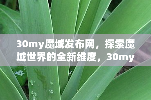 探索魔域世界的全新维度图片