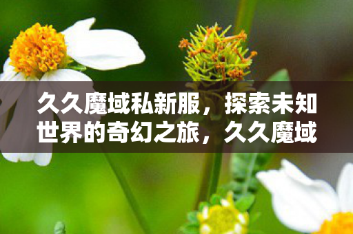 探索未知世界的奇幻之旅图片