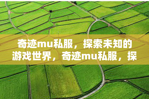 奇迹mu私服,探索未知的游戏世界,奇迹mu私服,探索未知的游戏世界之旅 奇迹mu私服,探索未知的游戏世界,奇迹mu私服,探索未知的游戏世界之旅