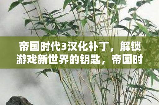 帝国时代3汉化补丁,解锁游戏新世界的钥匙,帝国时代3汉化补丁,解锁游戏新世界 帝国时代3汉化补丁,解锁游戏新世界的钥匙,帝国时代3汉化补丁,解锁游戏新世界